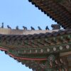 韓国寺院